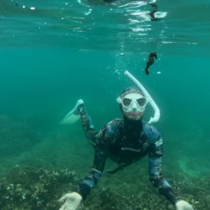 Snorkelers exploring colorful coral reefs in clear ocean water