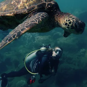 Discover scuba diving with two tank ocean experience