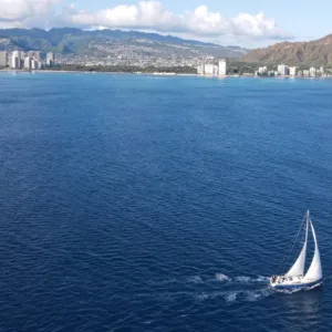 Private charter boat cruising near whale watching area