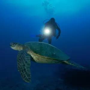 Scuba diver learning specialty skills underwater