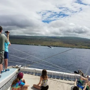 Morning whale watching tour aboard Alala vessel