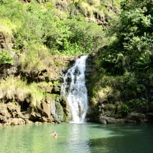 Scenic North Shore tour departing from Ko Olina area