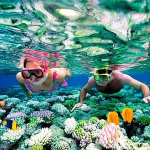 Snorkel gear available for top snorkeling tour on island
