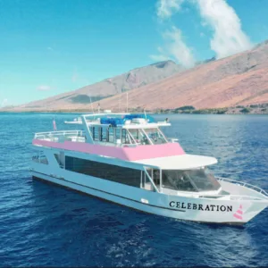 Colorful fireworks lighting up the Waikiki night sky