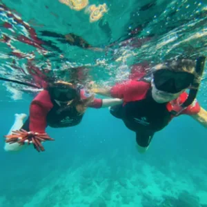 Beginner snorkeling tour with flotation wetsuits, no sea scooters
