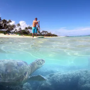 Self-guided stand up paddleboarding tour on ocean