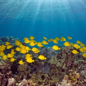 Private snorkeling tour with a maximum of ten passengers