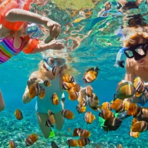 Tour bus traveling around Hawaii island on circle tour