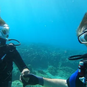 Scuba diver exploring vibrant coral reefs underwater