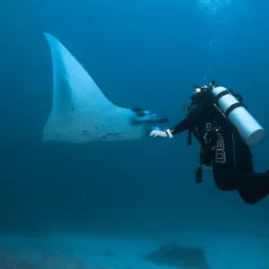 Scuba divers preparing for a public scuba charter trip