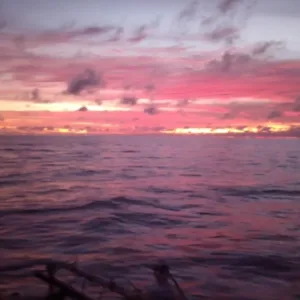 Couple enjoying a private sunset cruise in Waikiki