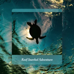 Snorkeling tour exploring vibrant marine life near Banyan Tree