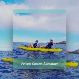 Custom private snorkeling tour tailored to your interests