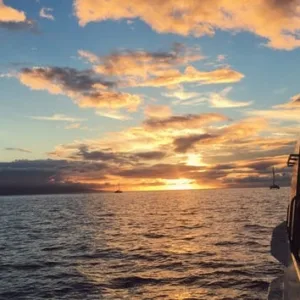 Sailing whale watching tour during Maui’s sunset hours