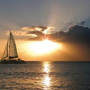 Sailboat cruising at sunset with whales visible nearby