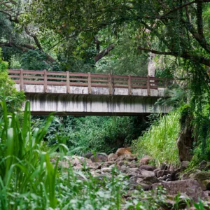 Customized private tour exploring Oahu’s highlights