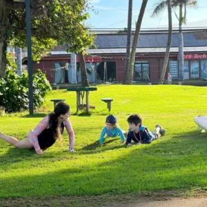 Beginner introduction to surfing with expert island instructors