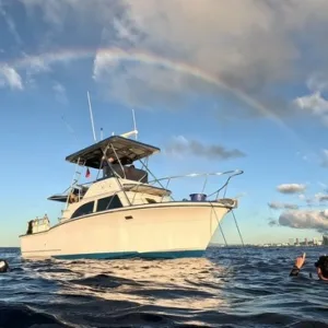 Five hour private scuba diving charter in Waikiki waters