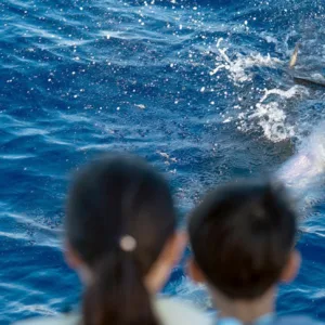 Snorkelers exploring vibrant coral reefs in Kona