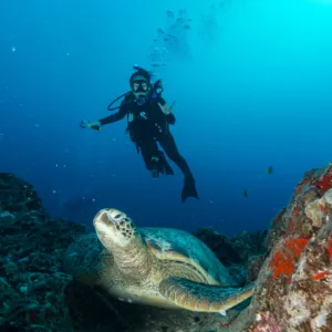 Ultimate three tank scuba dive exploring Oahu’s underwater world