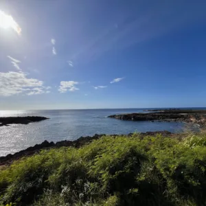 Diving adventure on the west side boat trip