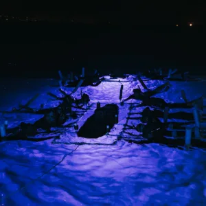 Night snorkelers observing graceful manta rays underwater at Kona
