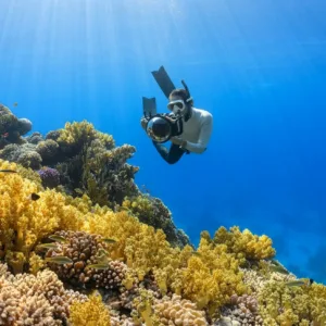 Snorkelers exploring Turtle Town waters at sunset