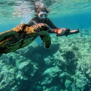 Guided snorkeling tour with sea scooters in Puako