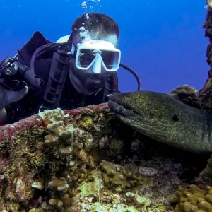 PADI scuba diving courses for all skill levels