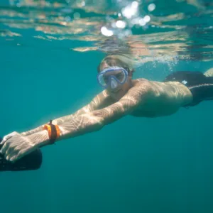 Group enjoying snorkeling tour on Maui waters