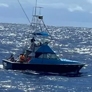 Half-day Bertram charter for island exploration and relaxation