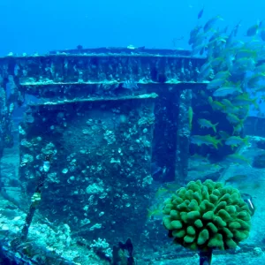 Scuba diver exploring colorful wreck on Maui’s ocean floor