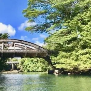 Kayakers paddling towards waterfall in lush rainforest