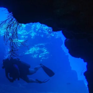 Guided two-tank scuba diving adventure around Lana’i island