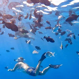 Snorkelers swimming above vibrant coral reefs in clear waters