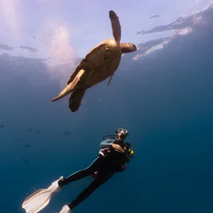 Private boat scuba diving at shallow reefs with two tanks