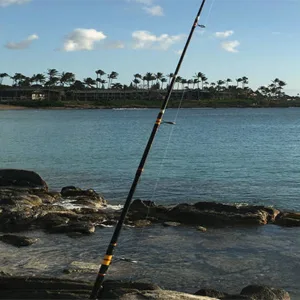 Quick island exploration on two hour Maui tour
