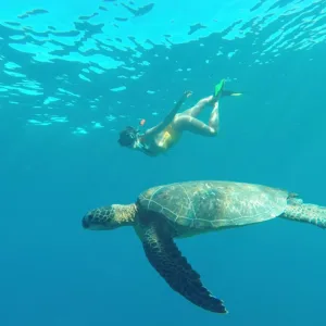 Kayak and snorkeling adventure in tropical waters
