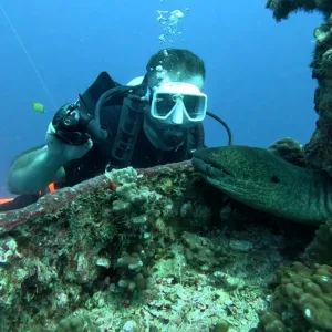 Scuba diver exploring vibrant coral reef and underwater wreck