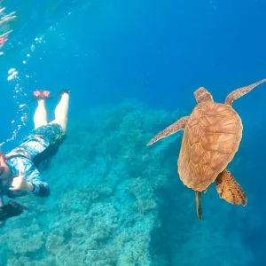 Man riding a guided sea scooter near Kona coast