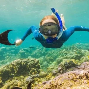 Exploring colorful coral reefs while snorkeling in Kona