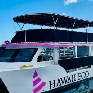 Fireworks exploding over Waikiki during Friday night cruise