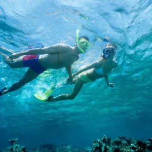 People snorkeling near colorful coral reefs in Waikiki