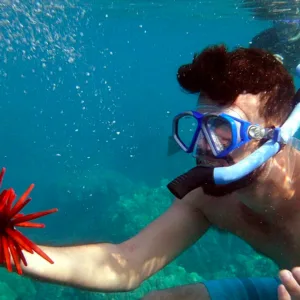 Private kayak and snorkeling trip with whale watching