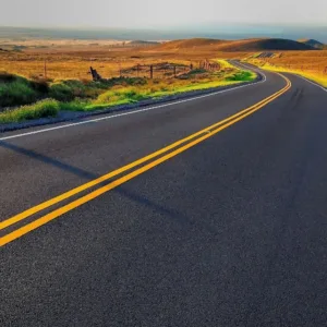 Group enjoying Paniolo BBQ with Hawaiian cultural background