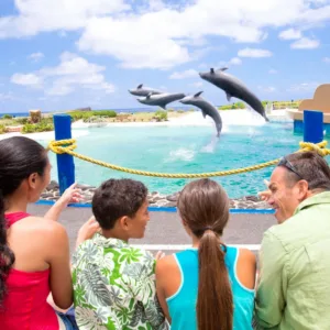 Standard island tour offering scenic and cultural stops