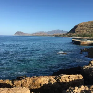 Snorkelers exploring vibrant coral reefs at Electric Beach
