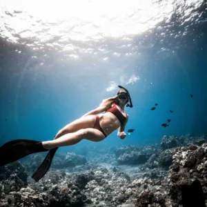 Morning snorkeling adventure in Maui’s clear waters