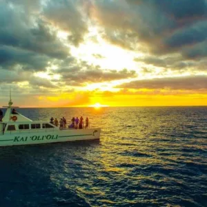 Private sunset cruise with dolphin watching and snorkeling