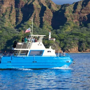 Divers participating in underwater cleanup off Wai'anae coast